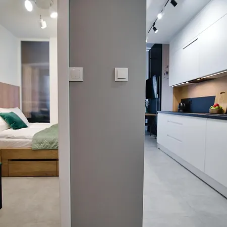 Apartament Loft W Lagunie Beskidów Zarzecze (Silesia)